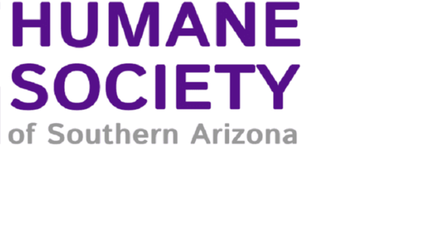Humane Society of S. Arizona names Beth Morrison interim CEO | News - Vimarsana News