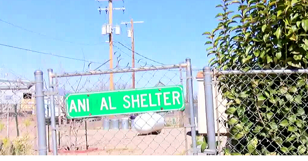 Huachuca City hopes to open new animal shelter this year Local