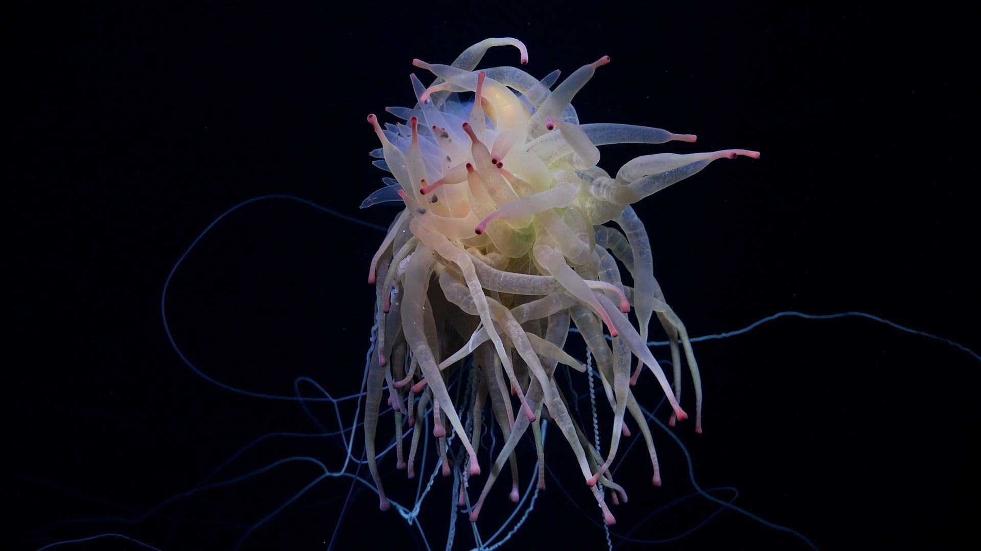 66d38a51d793d.image.jpg?crop=
