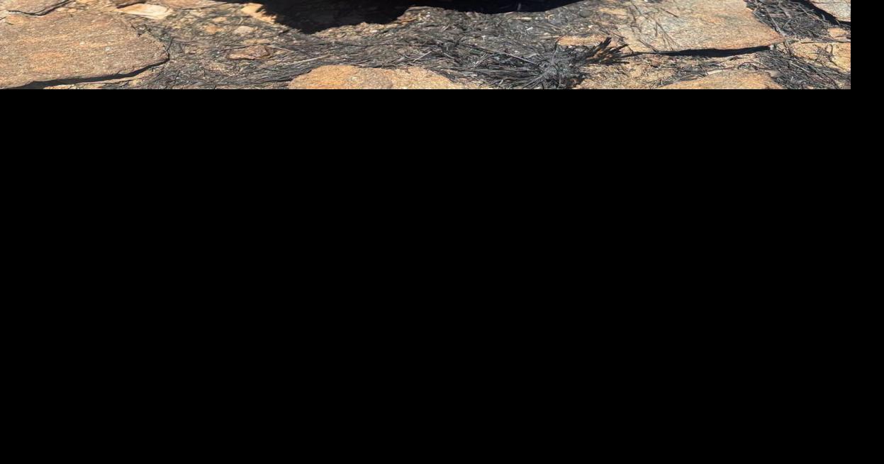 Update: Lightning sparks 20-acre fire in Santa Catalina Mountains