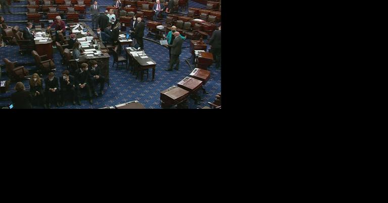 Senate passes computer chip bill - Vimarsana News