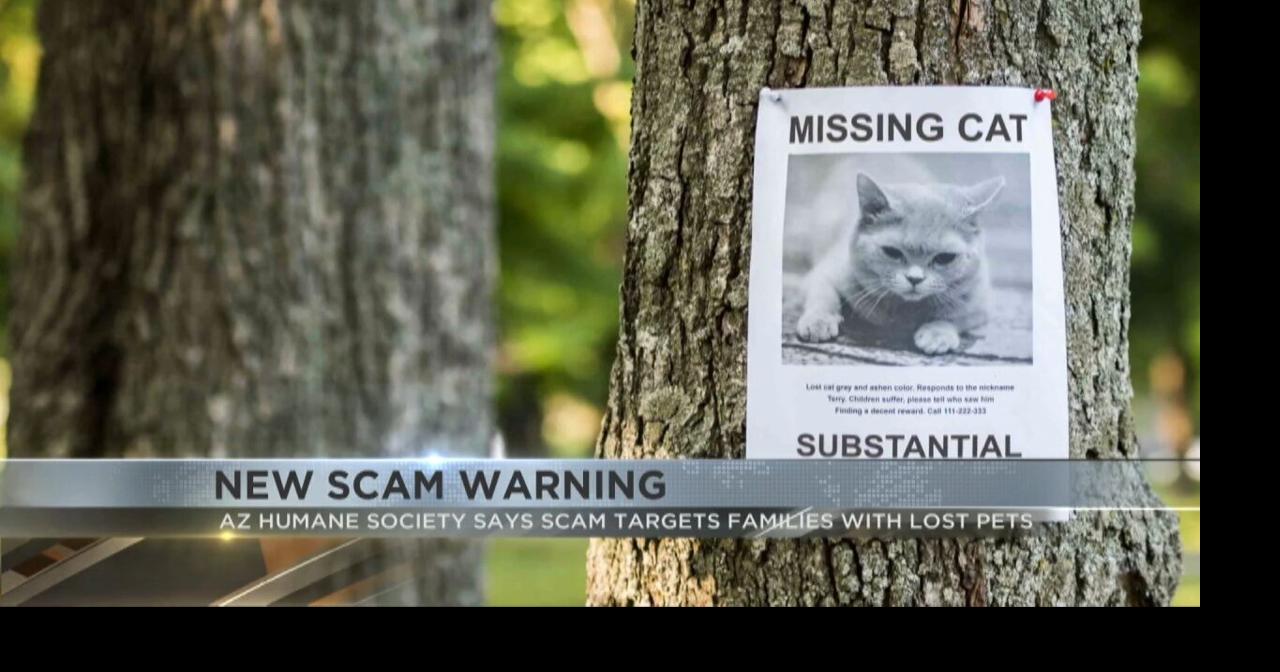 Arizona Humane Society warns of scam targeting pet owners