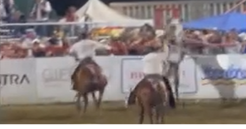 Caught On Camera Five injured after bull nearly escapes from