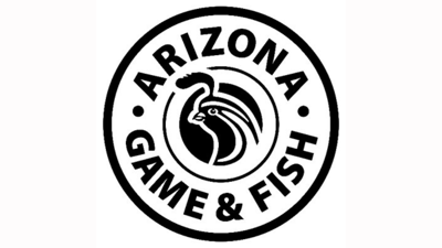 Arizona teen injured in bear attack | News | kvoa.com