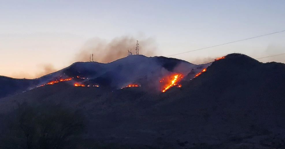 Fire crews work around the clock to control the Adams Robles Complex fire - Vimarsana News