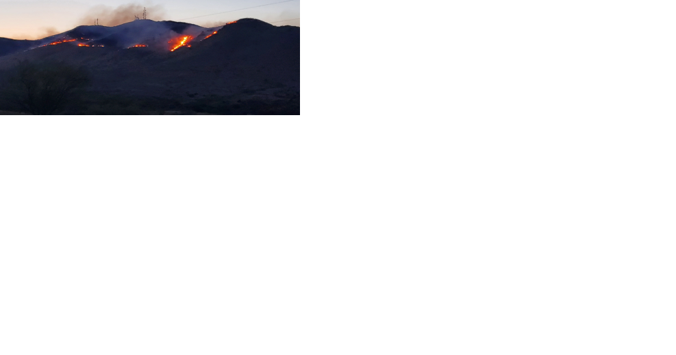 Adams and Robles wildfires burning near Benson - Vimarsana News