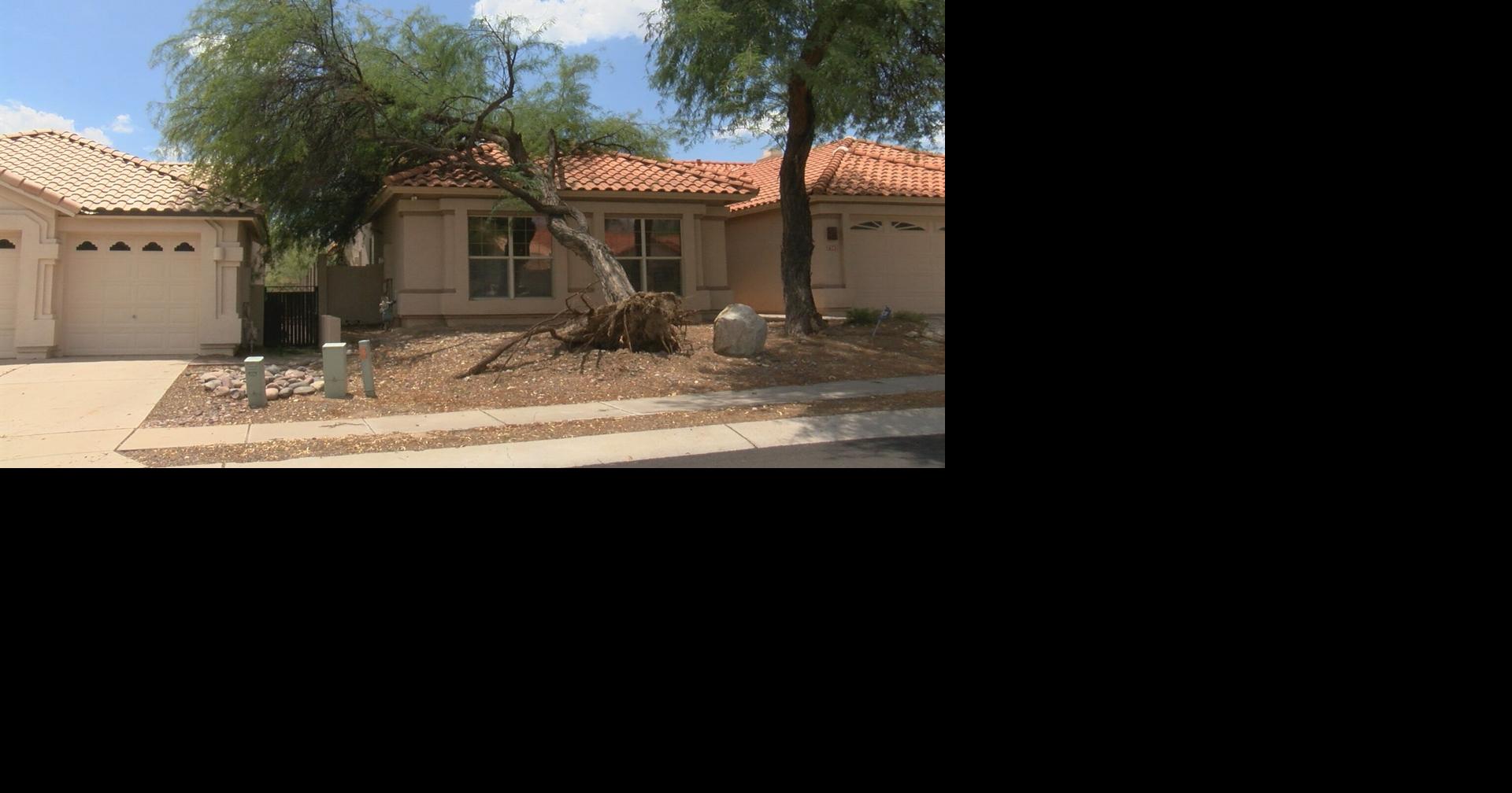 Northside monsoon damage: downed trees, split poles, tree on home