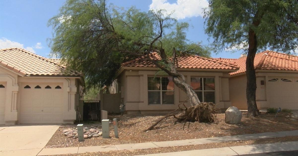 Northside monsoon damage: downed trees, split poles, tree on home