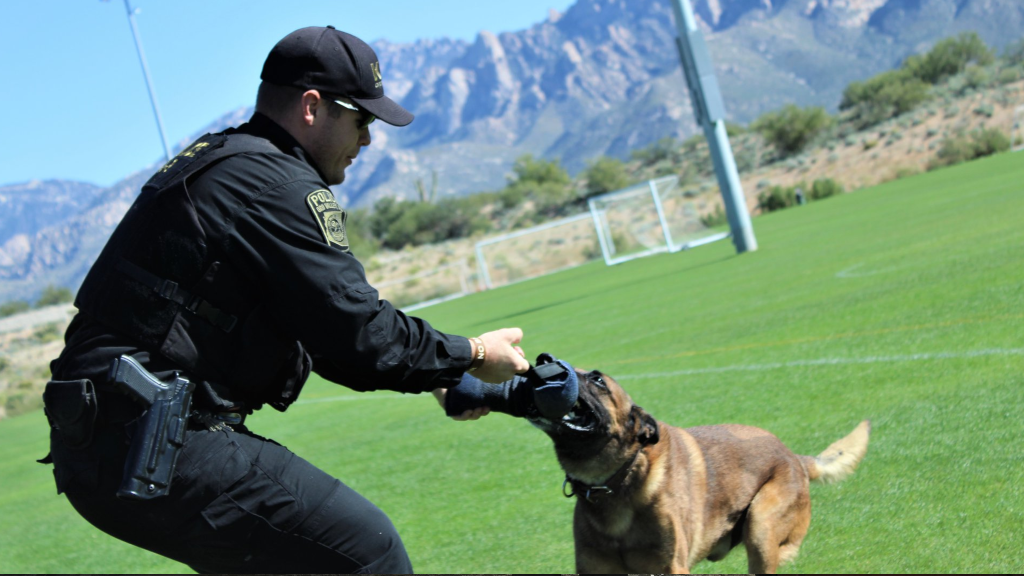 Retired OVPD K-9 has passed away, News