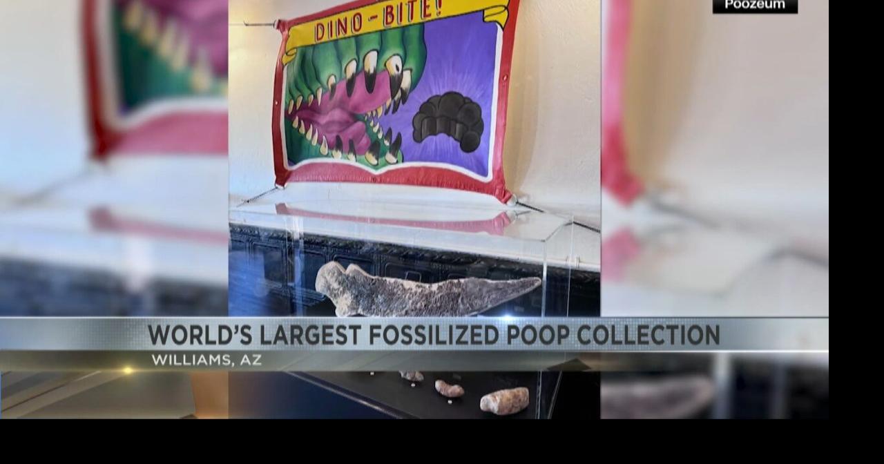 Owner of world's largest fossilized poop collections opens museum in