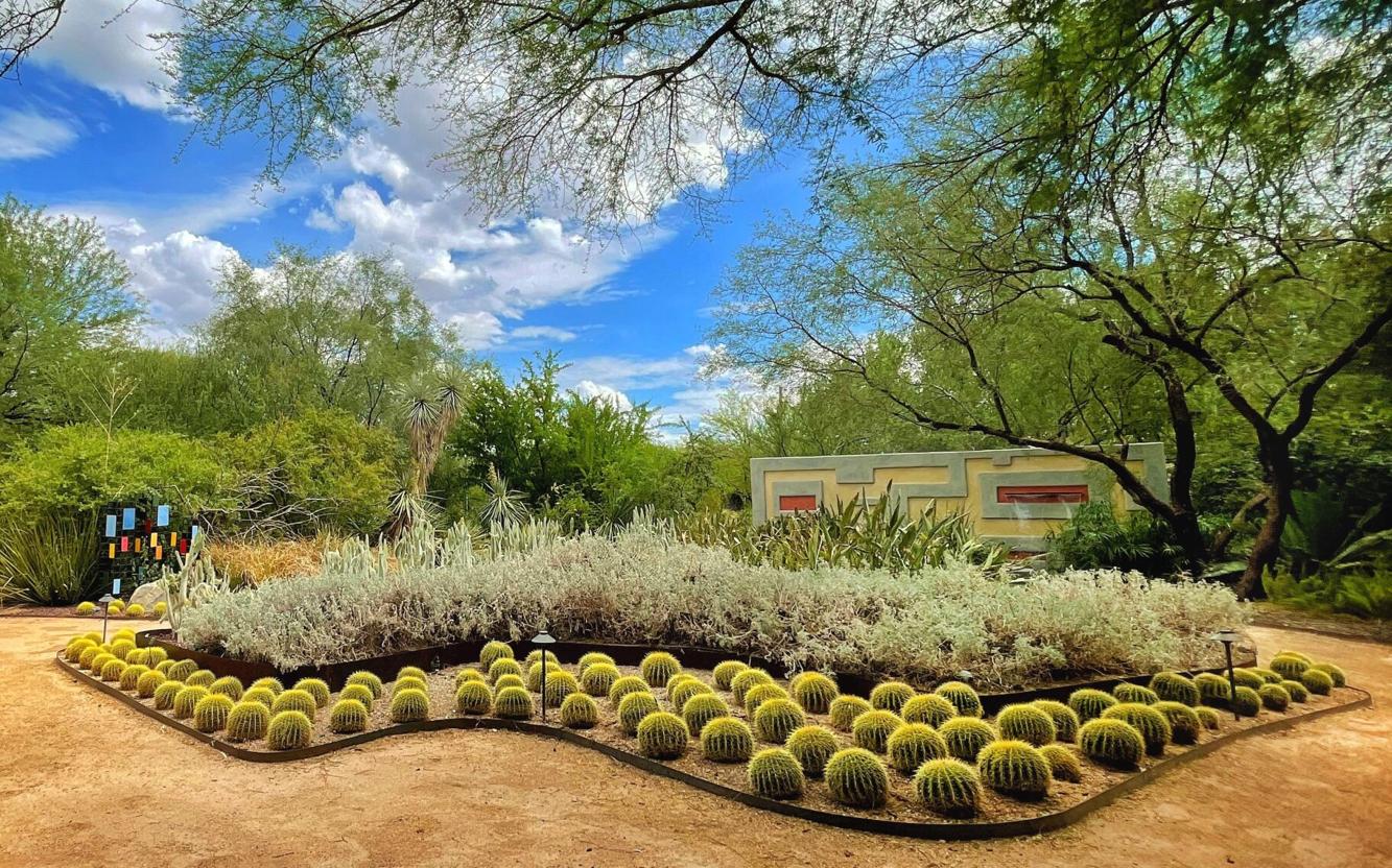 Tucson Botanical Gardens nominated for USA Today 10Best Readers' Choice