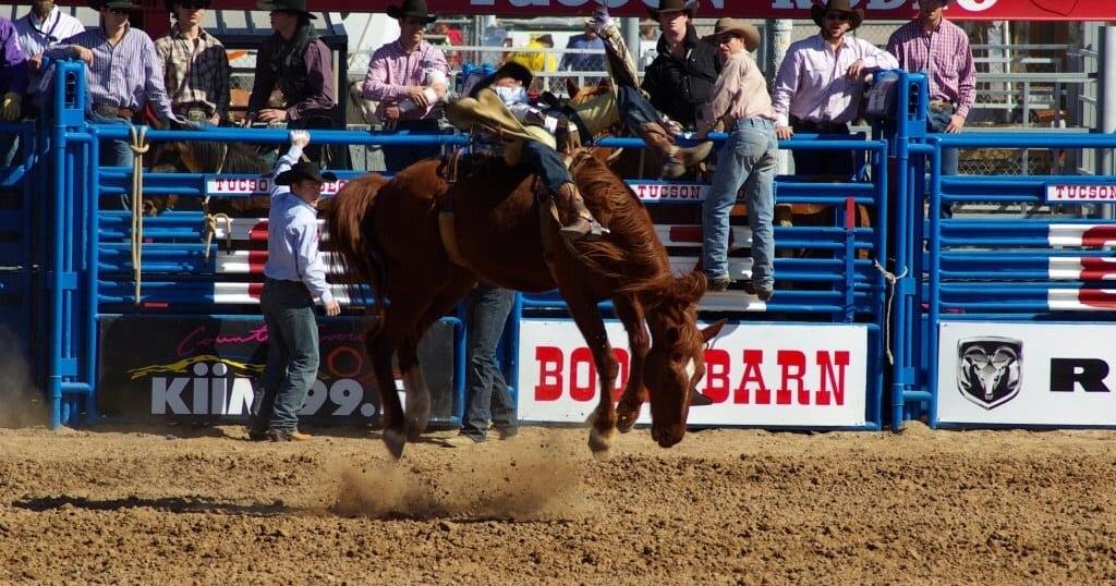 All You need to know about Fiesta De Los Vaqueros Rodeo | Local News ...