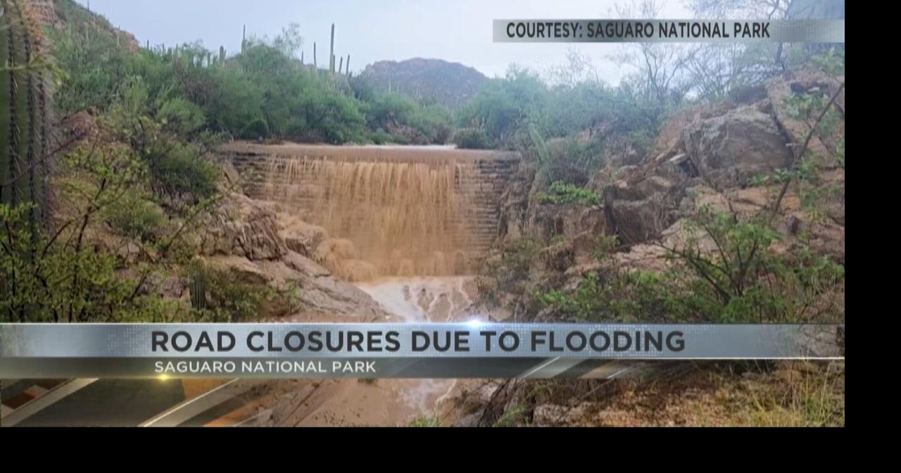 Flash flooding closes roads at Saguaro National Park