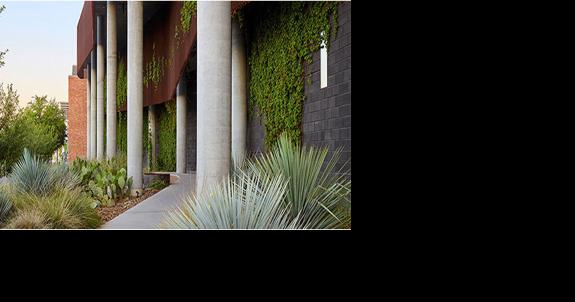 Arizona Board of Regents to hold UArizona presidential search town hall - Vimarsana News