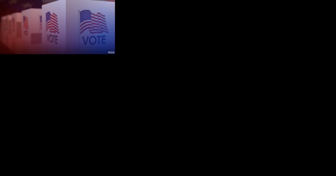 Primary Election 2022: What to know - Vimarsana News