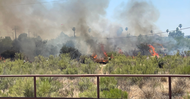 Crews on the scene of brush fire near River and Shannon - Vimarsana News