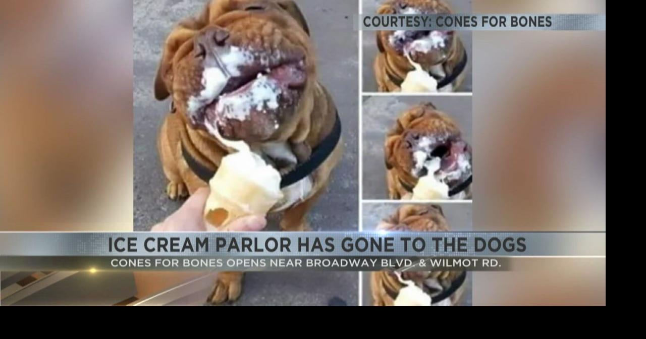 Tucson opens an ice cream shop... for dogs! Video
