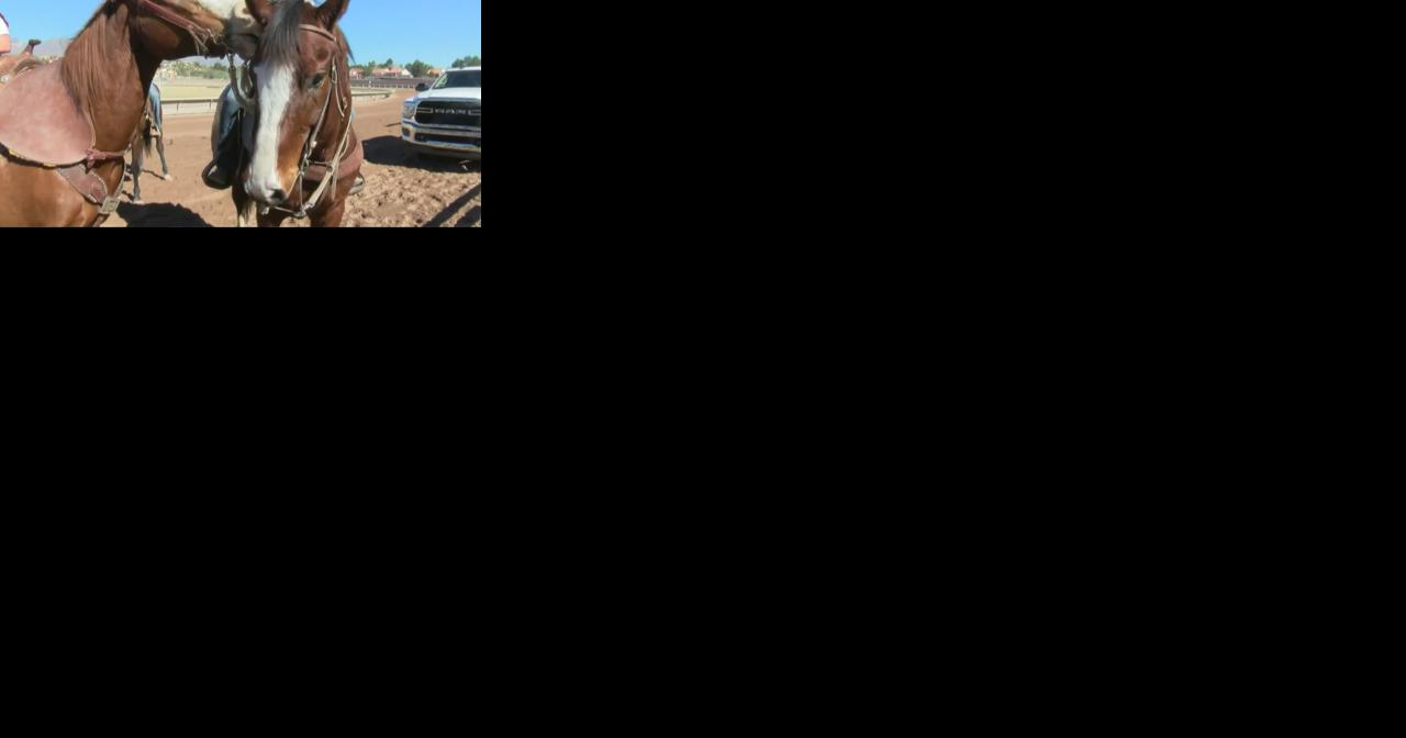 Four race horses die in opening weekend at Rillito Racetrack - Vimarsana News