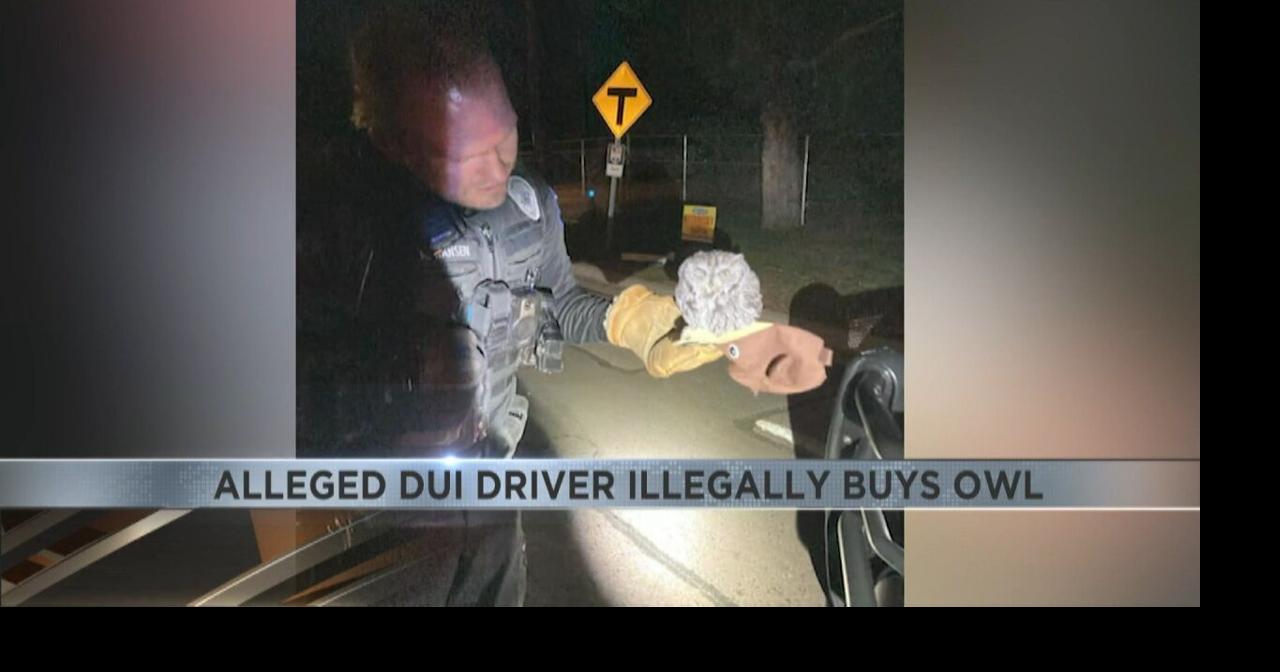 Man high on meth made unexpected but illegal purchase | Video | kvoa.com