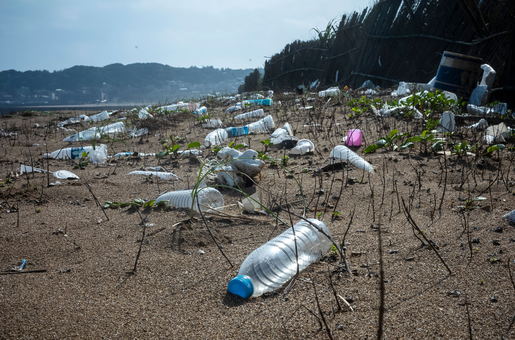 The Plastic Water Bottle Industry Is Booming. Here's Why That's A Huge ...