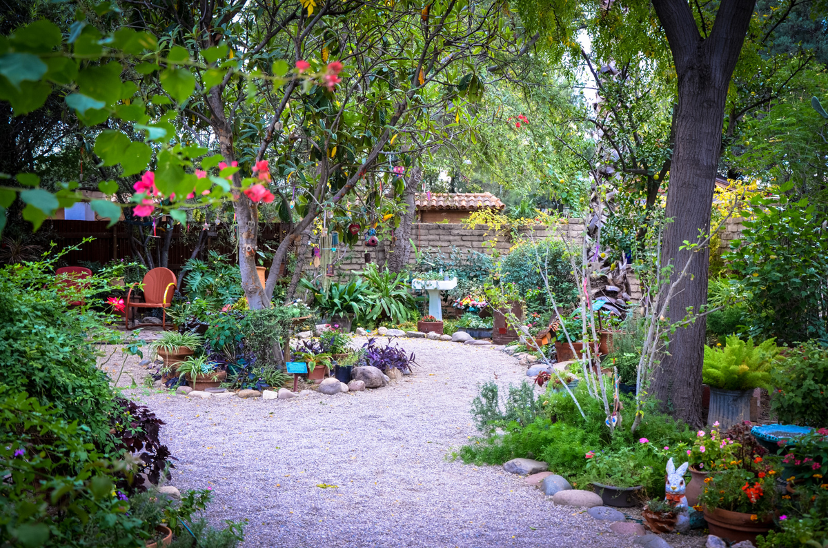 Celebrate Día de los Muertos at Tucson Botanical Gardens News
