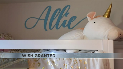 Make a wish online unicorn toy