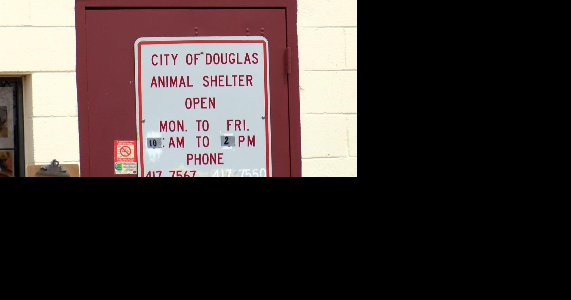 Douglas Animal Control officers under investigation after cats left for dead in desert | News