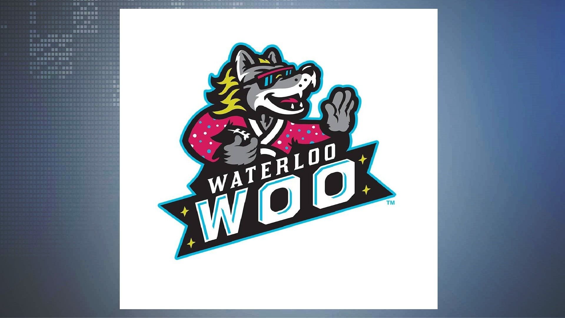 Waterloo Arena League Football Team Name Unveiled | Waterloo | Kwwl.com