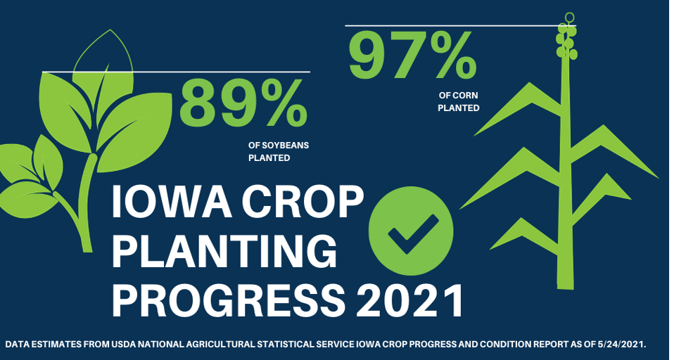 Latest Iowa crop report shows 97% of corn is planted, 89% of soybeans ...