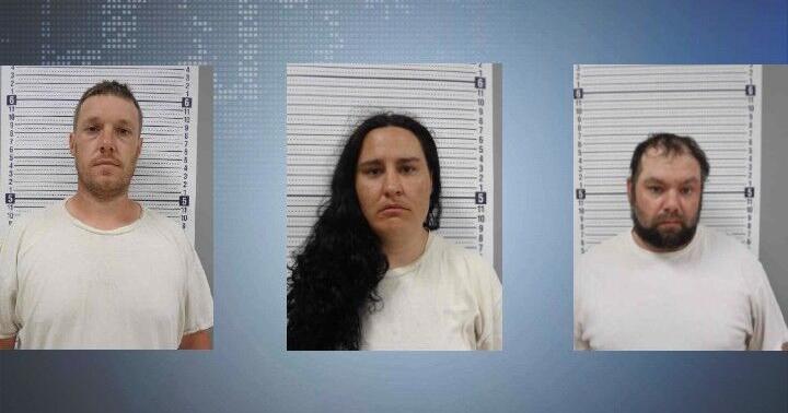 Three charged in Fayette County drug bust | News | kwwl.com