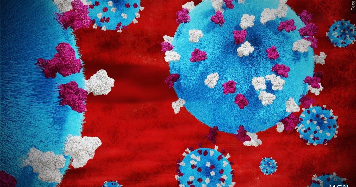 Health officials confirm measles in eastern Iowa, list exposure locations | Top Stories Health officials confirm measles in eastern Iowa, list exposure locations | Top Stories