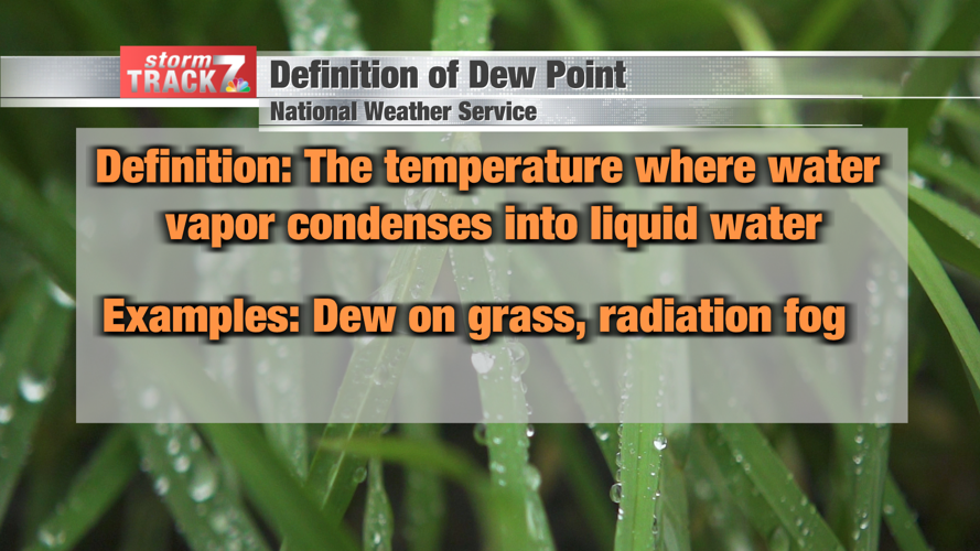 Weather Wonders Dew Point vs. Relative Humidity Schnack's Weather
