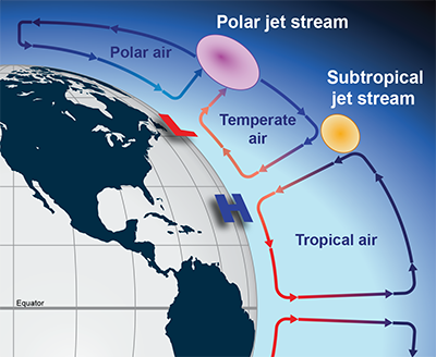 Ferrel cell  Atmospheric Circulation, Global Wind Patterns & Jet