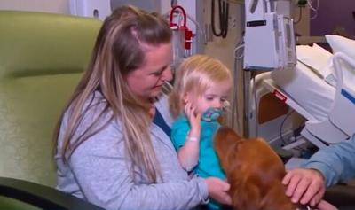 Therapy dog helps Iowa family pay it forward at Blank Children's Hospital