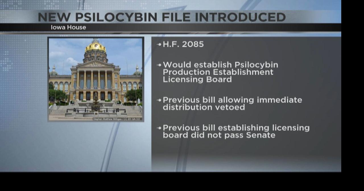 New Iowa bill proposes psilocybin regulation for PTSD therapy