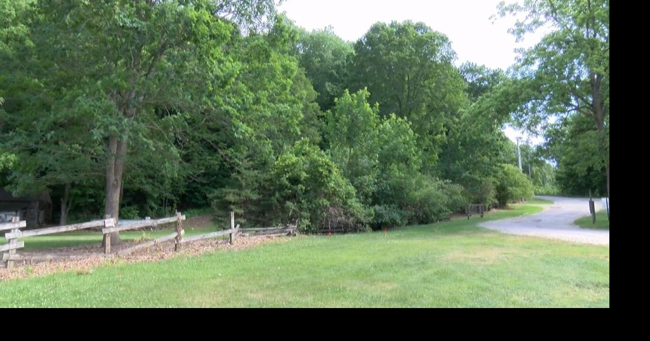 Iowa black bear sightings rising as animals reclaim native range