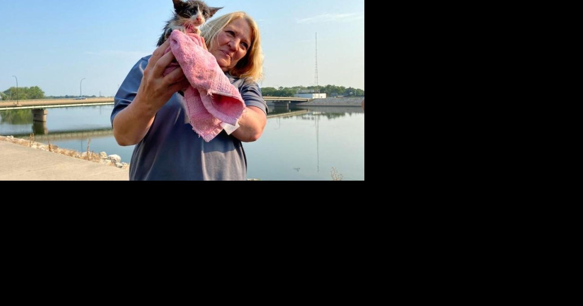 Waterloo Firefighters rescue cat from Cedar River | News | kwwl.com