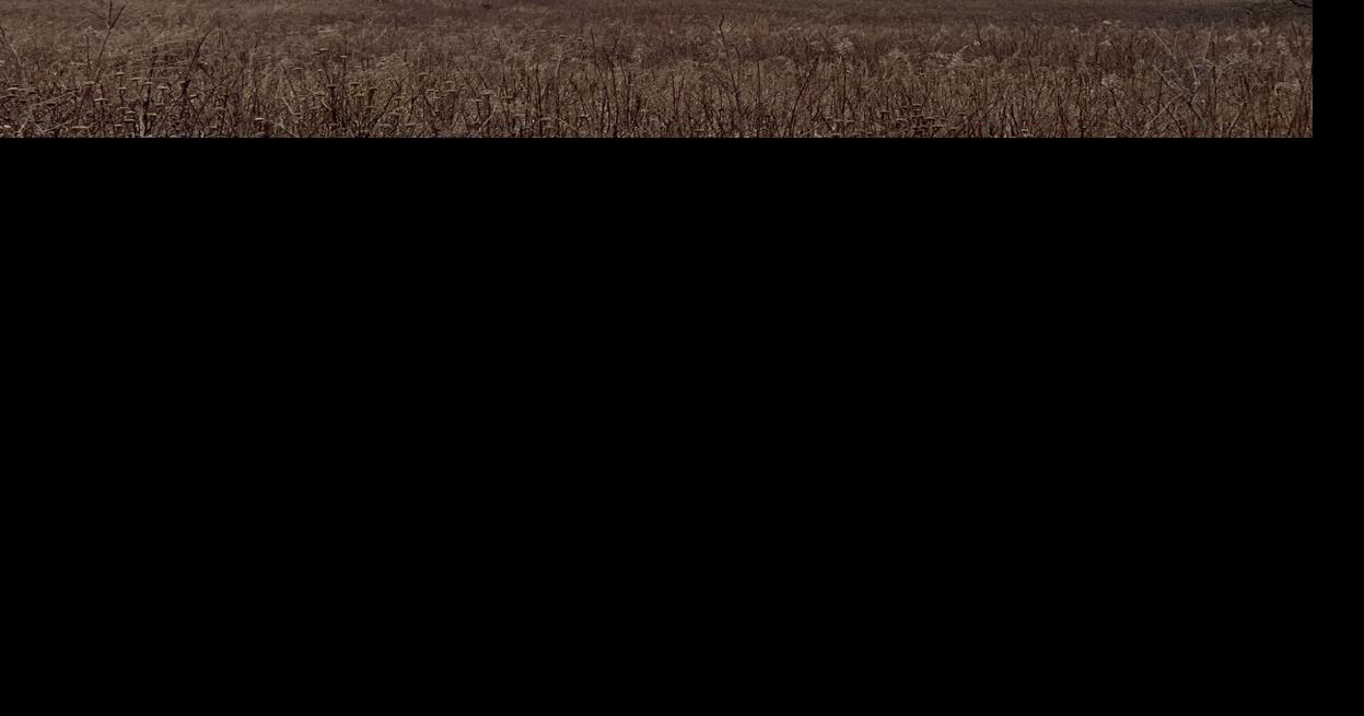 UPDATE: Exploded pipeline owned and operated by Enterprise Products Partners L.P.