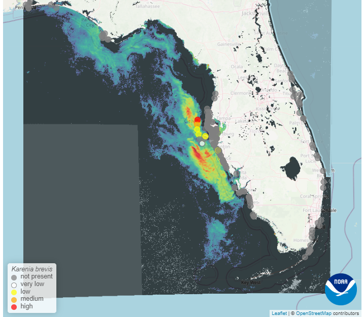 What is red tide? | Schnack's Weather Blog