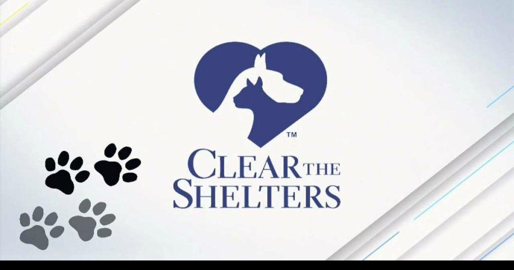 Dubuque Regional Humane Society and KWWL partner up to ‘Clear the