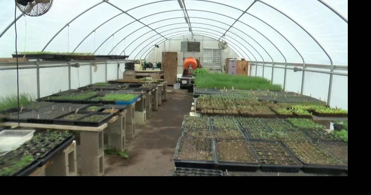 The local farm responds to the impact that prices may have an impact on the AG | News