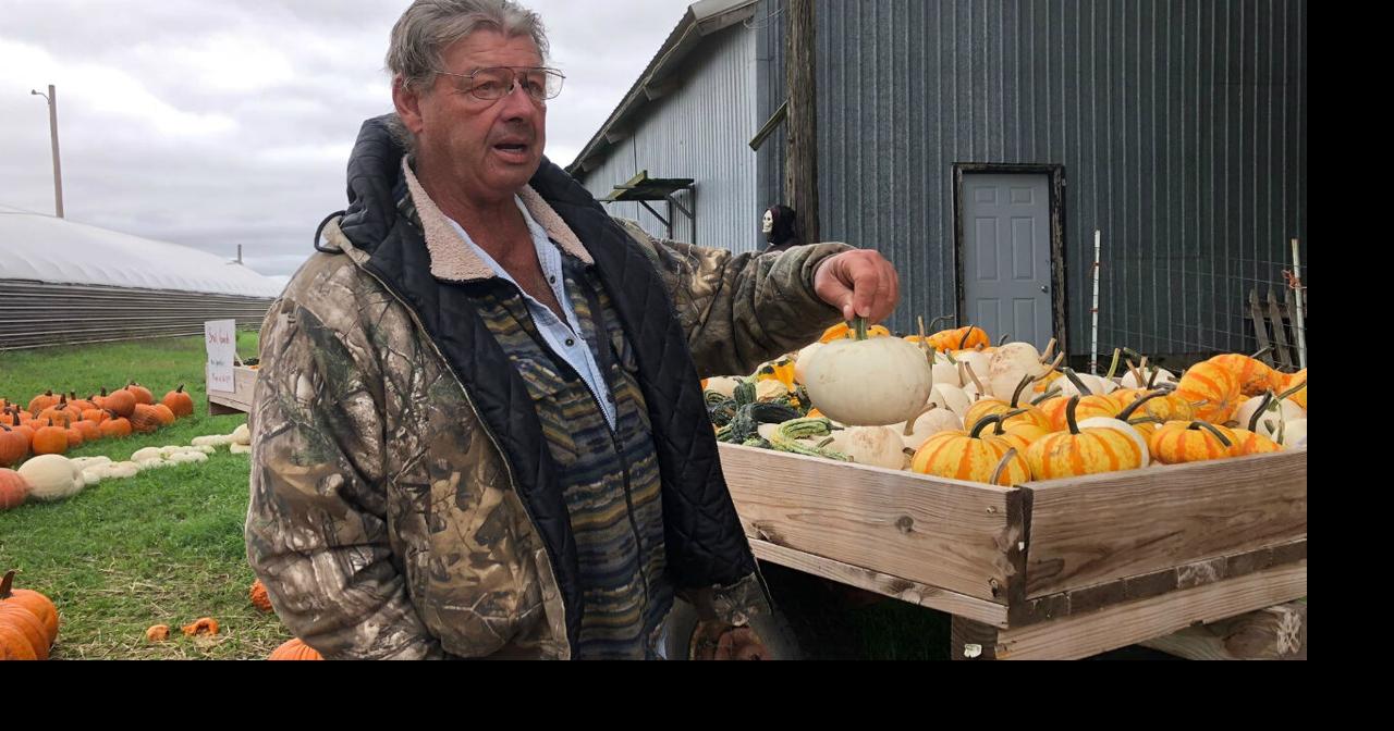 PUMPKIN PROBLEMS Waterloo pumpkin farmer says weather this year has