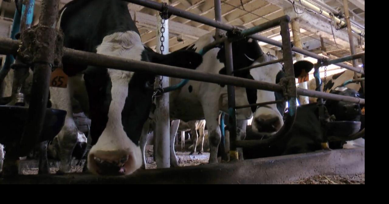 Iowa Farm Act: Naig introduces new plan aimed at addressing farmers' concerns