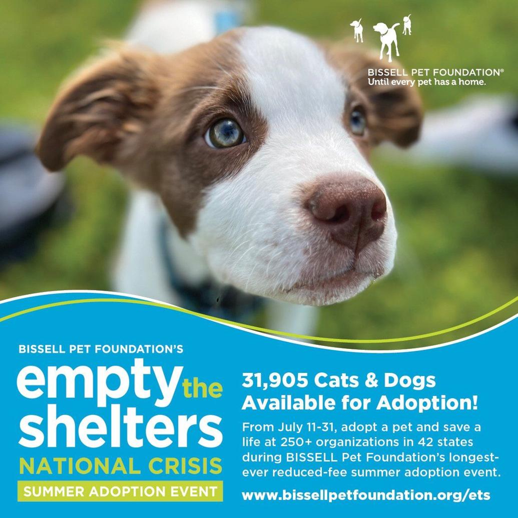 Dubuque Humane Society reducing adoption fees to "Empty the Shelters