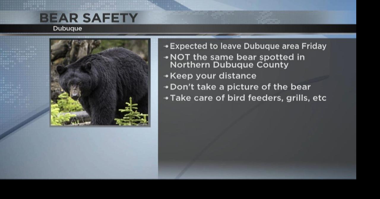 Iowa DNR, Dubuque County Conservation and Dubuque Police provide bear