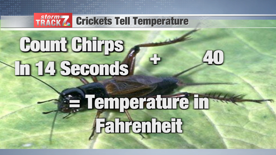 Weather Wonders Crickets tell temperature Schnack's Weather Blog