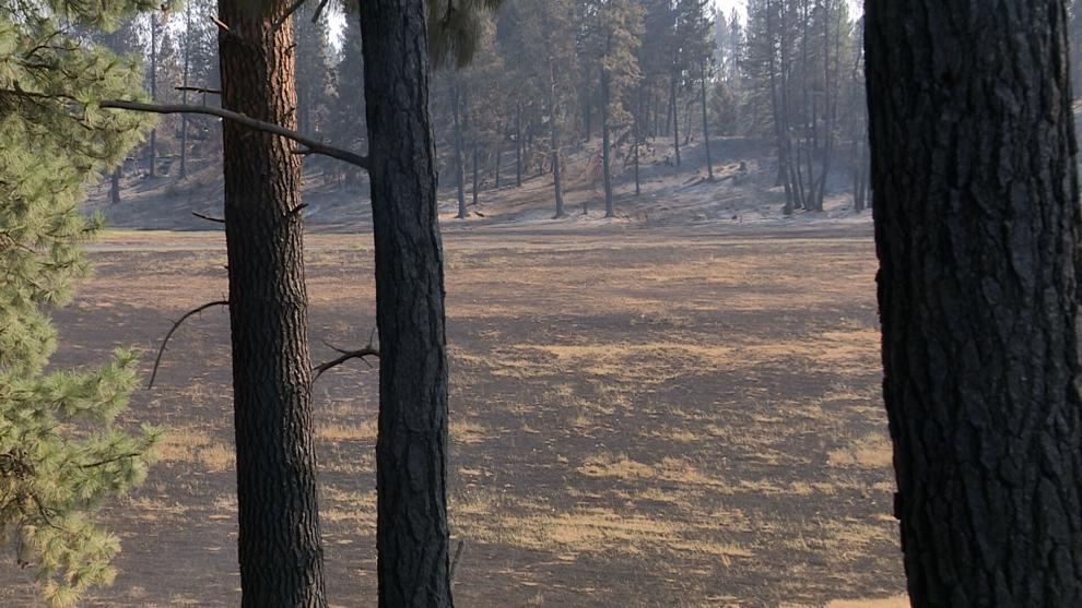 'Extraordinary circumstance'; Mead Schools declares emergency to respond to Spokane area wildfires