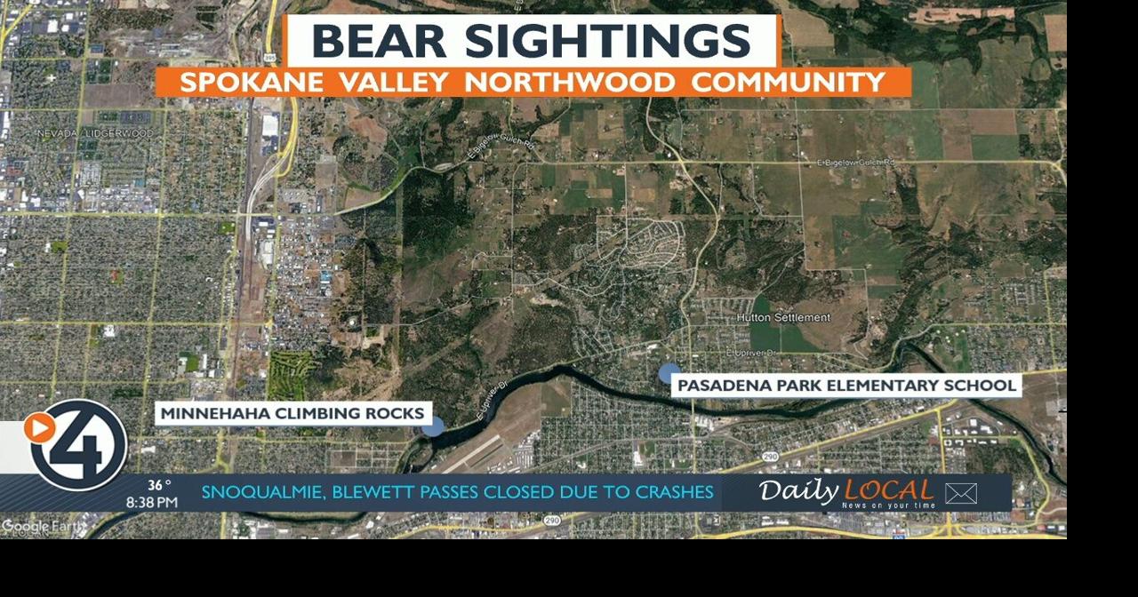 WDFW tracking bear in Northwoods neighborhood | Local News | kxly.com