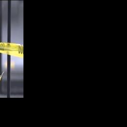 Man with machete fatally shot at NYC's Grand Central after slashing ...