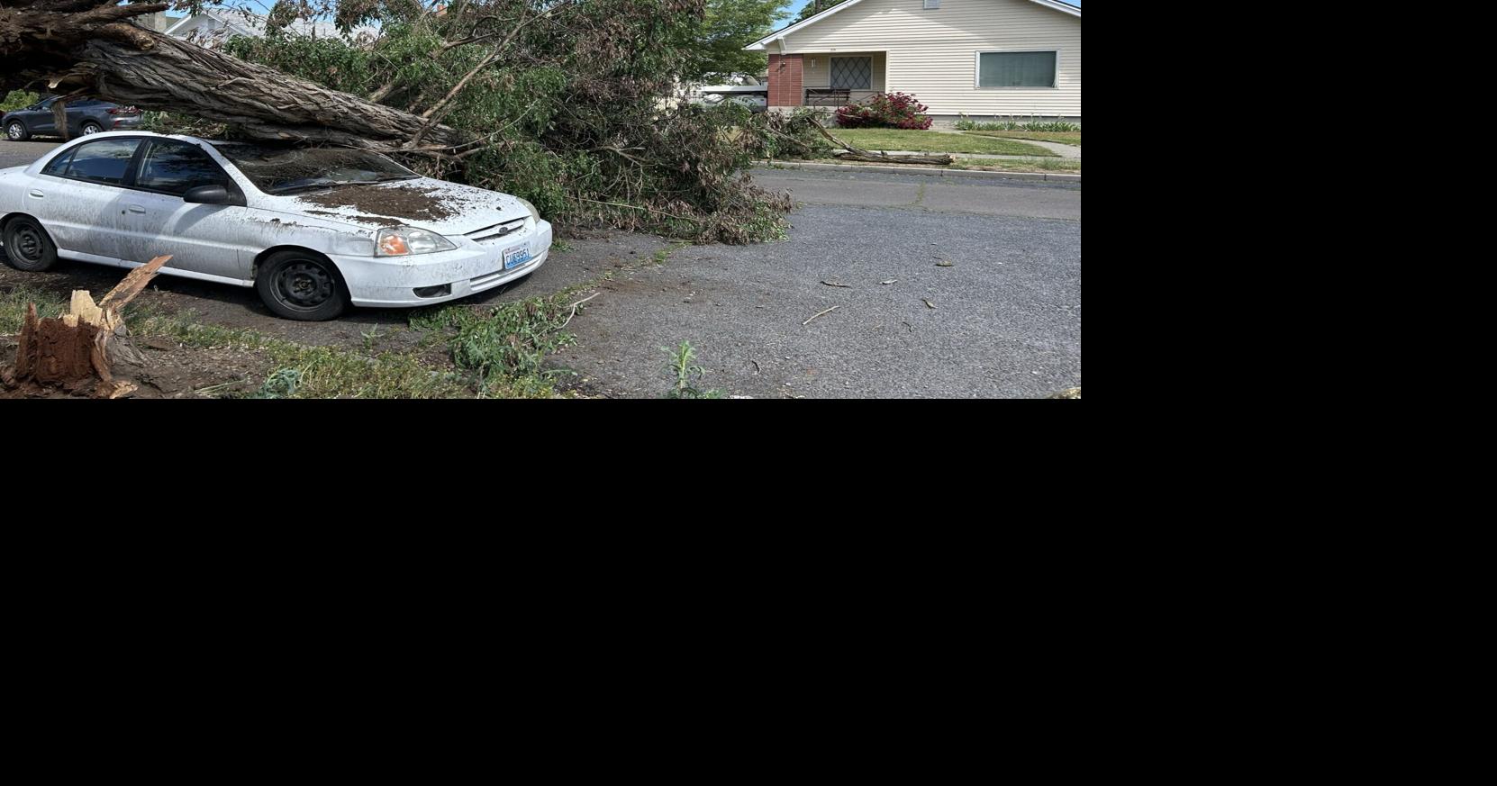 Powerful storm downs trees, causing damage around the Inland Northwest